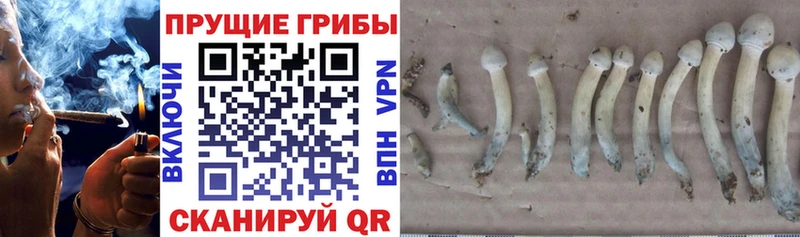 Псилоцибиновые грибы ЛСД  Барабинск 