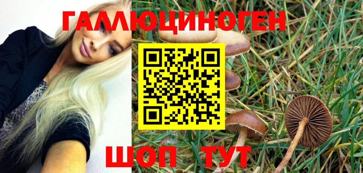 Галлюциногенные грибы Psilocybe  Барабинск 