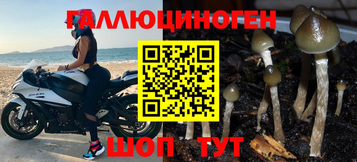 Псилоцибиновые грибы ЛСД Барабинск