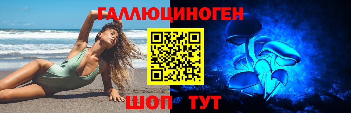 Галлюциногенные грибы Psilocybe Барабинск